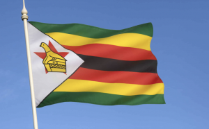 Zimbabwe: 43 years independence commemoration marred by rapidly shrinking civic space and decline in freedoms