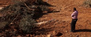 Acceleration of Israel’s ethnic cleansing of Palestinians must spur global action to halt West Bank annexation
